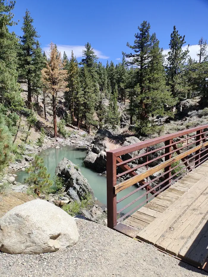 Leavitt Meadows photo 3