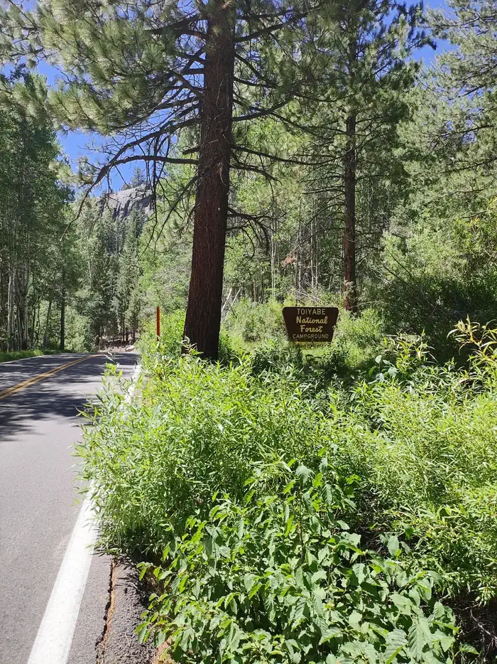 Leavitt Meadows photo 4