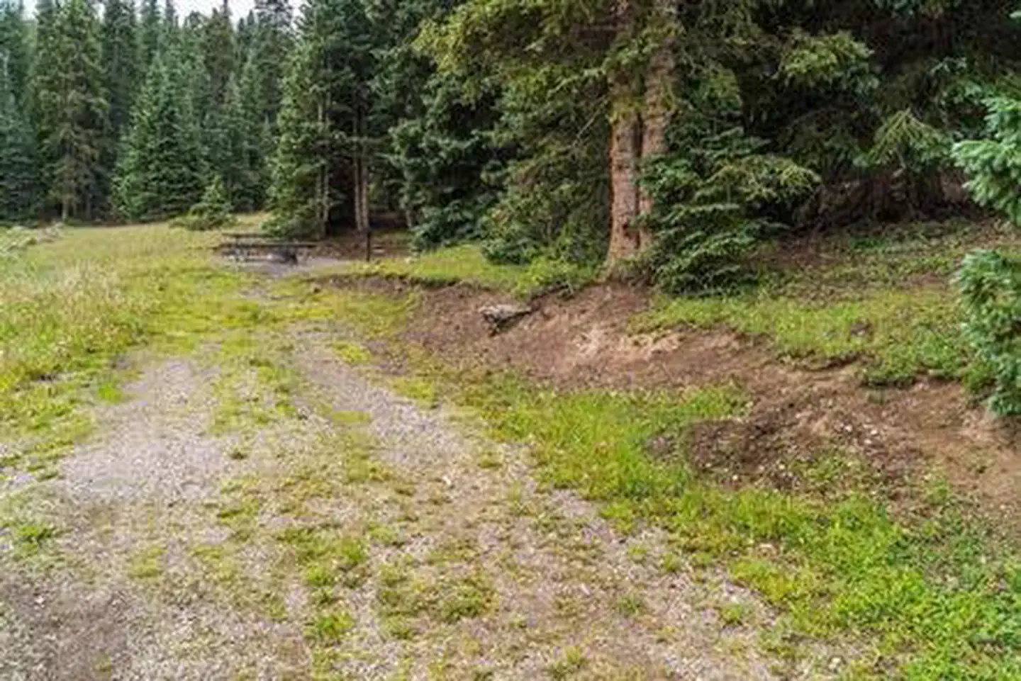 LeBaron Campground photo 2
