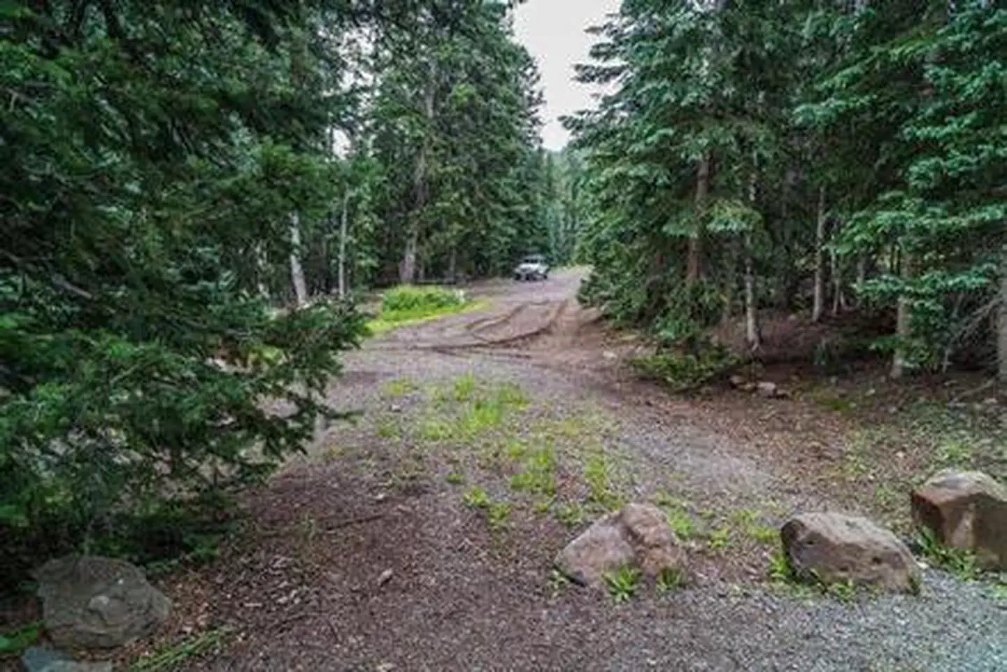 LeBaron Campground photo 4