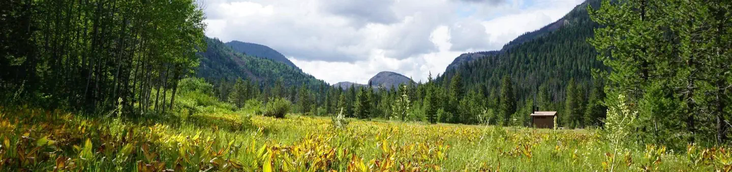 LEDGEFORK photo