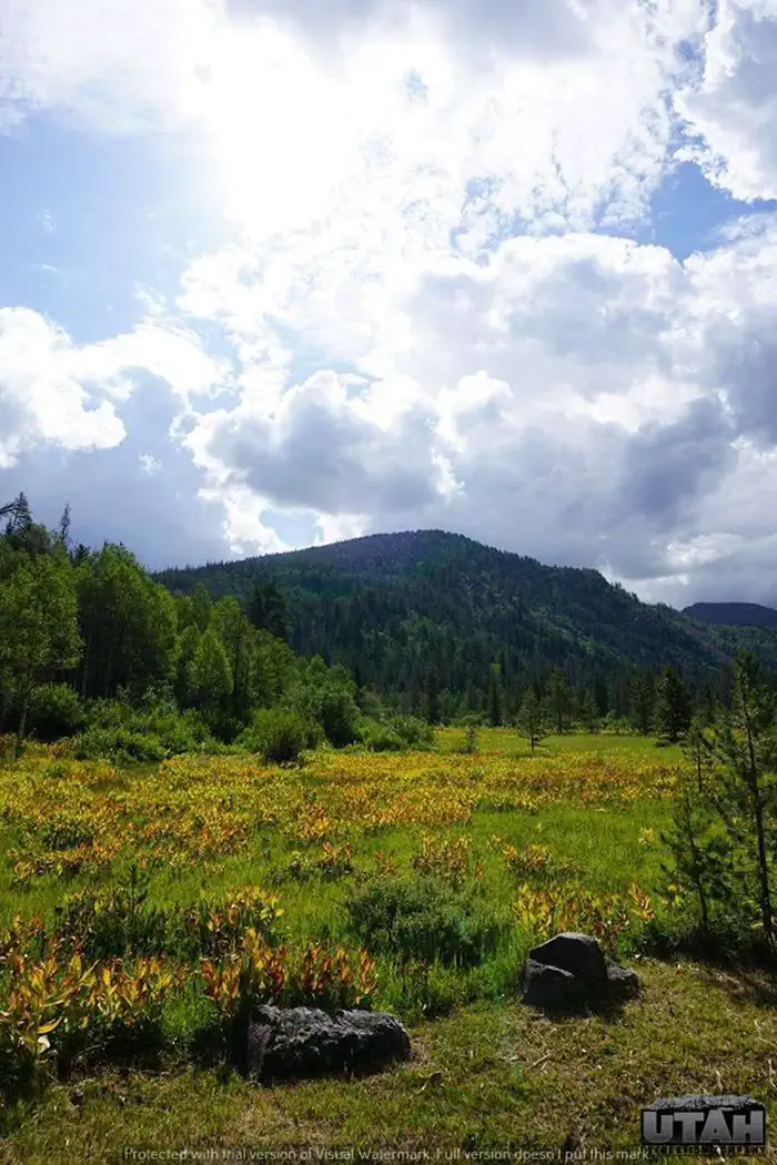 LEDGEFORK photo 4