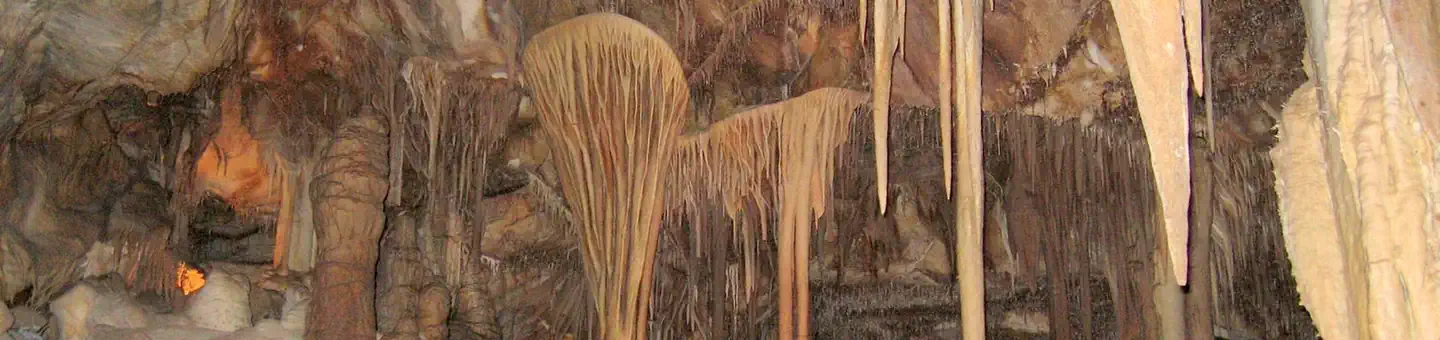 Lehman Caves Tours photo