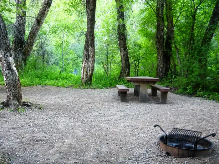 LEIGH CREEK CAMPGROUND photo 3