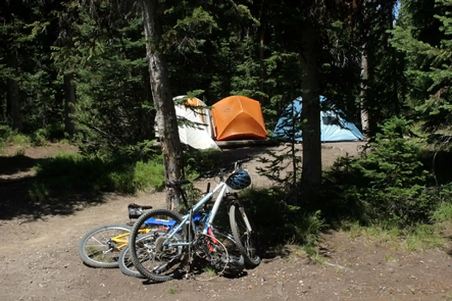 Lewis Lake Campground photo 2