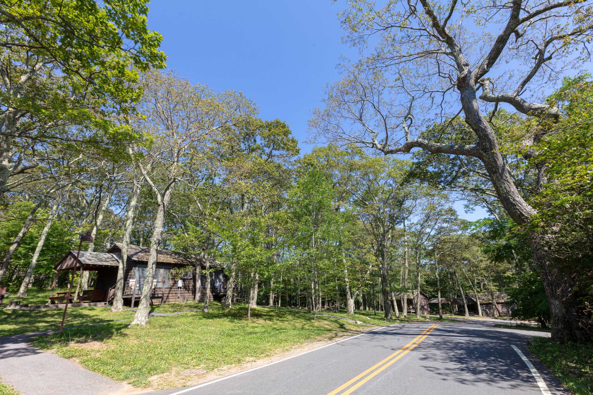 Lewis Mountain Campground photo
