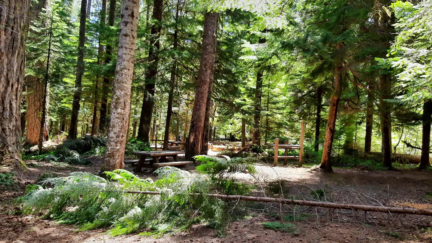 LEWIS RIVER HC (WA) GIFFORD PINCHOT NF photo