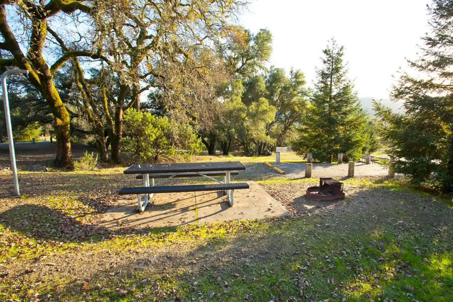 LIBERTY GLEN (LAKE SONOMA) photo 2