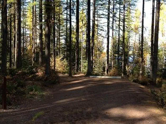 LID CREEK CAMPGROUND photo
