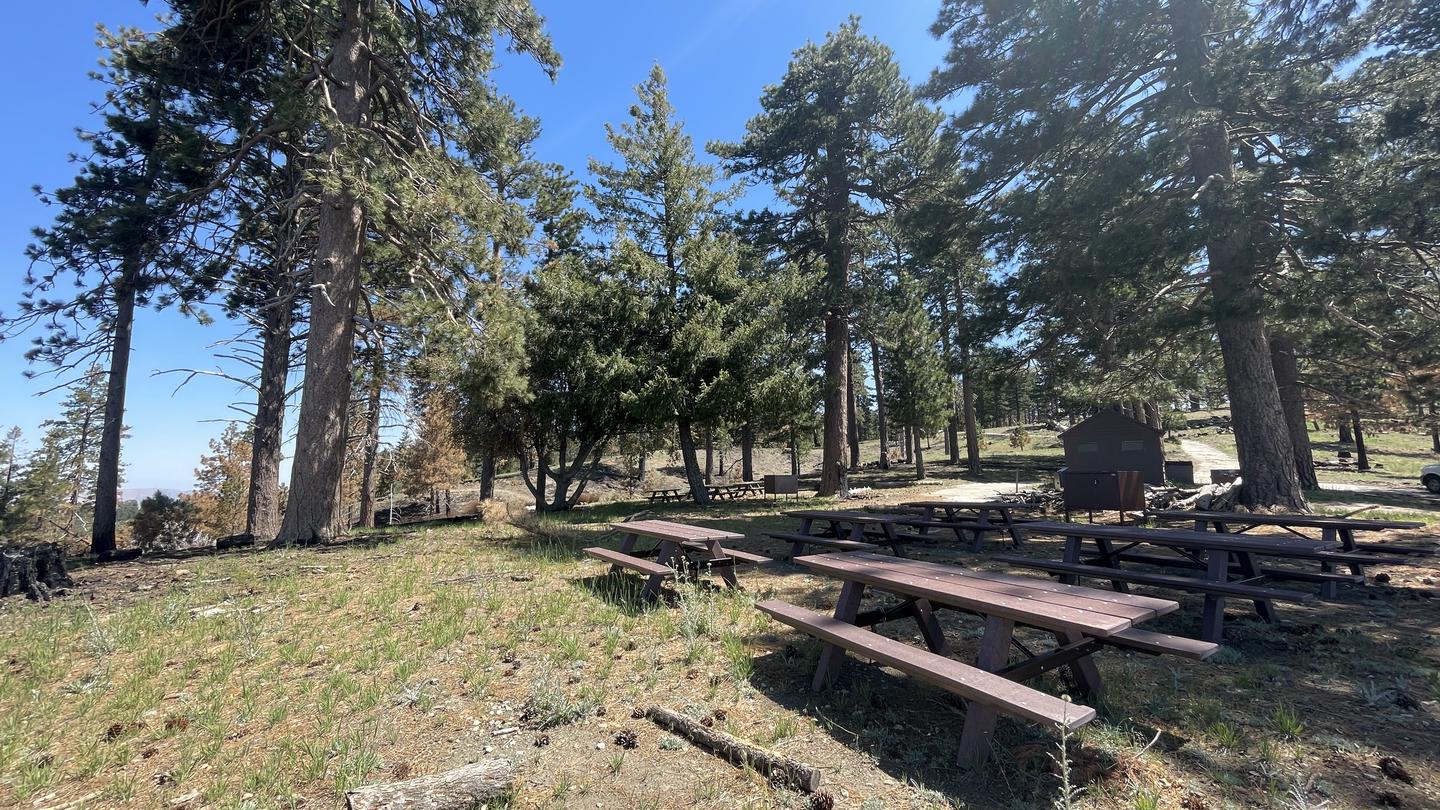 LIGHTNING POINT GROUP CAMPGROUND photo