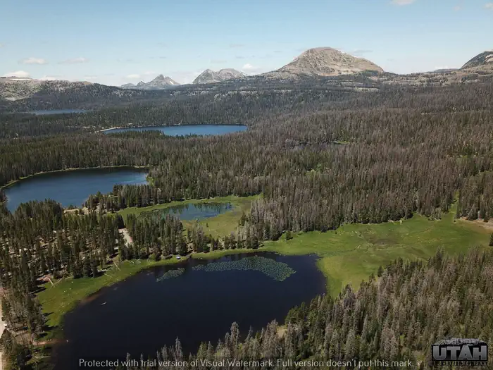 Lilly Lake Campground photo 3