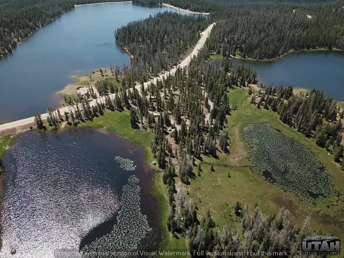 Lilly Lake Campground photo 4