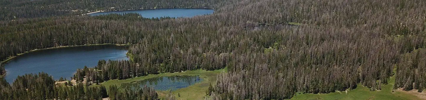 Lilly Lake Campground photo 5