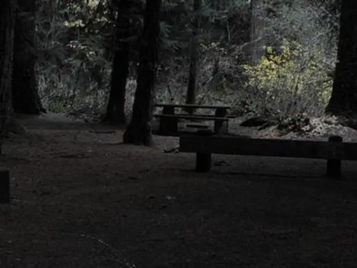 LIMBERLOST CAMPGROUND photo