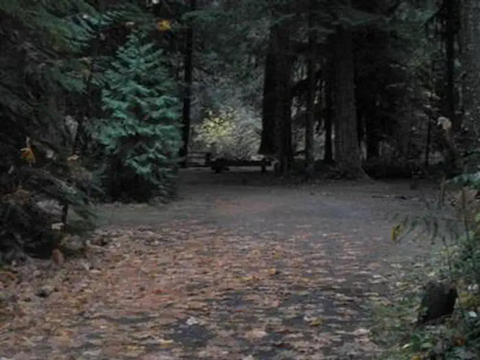 LIMBERLOST CAMPGROUND photo 4