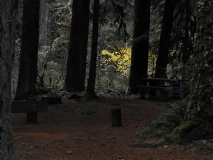LIMBERLOST CAMPGROUND photo 5