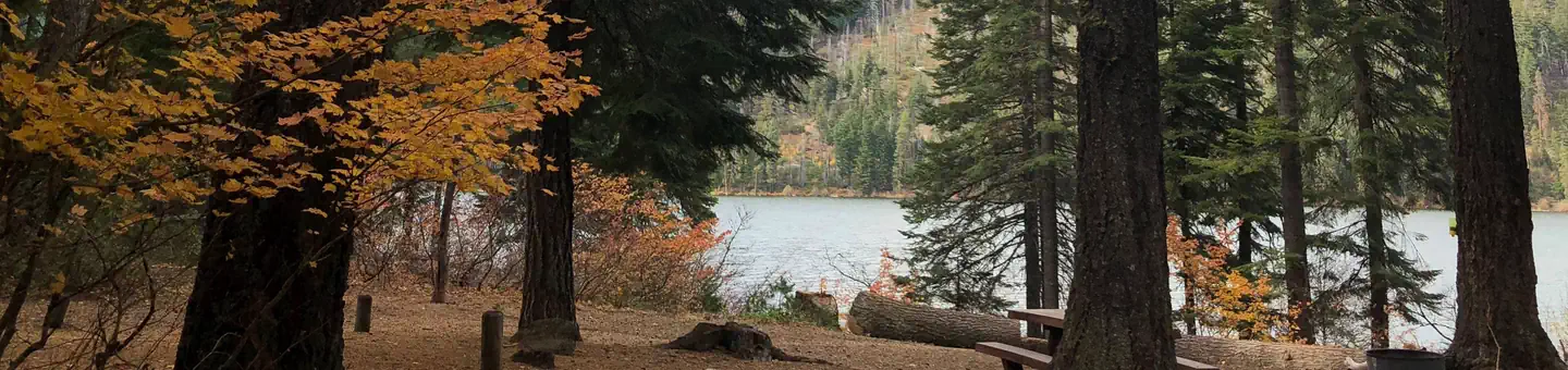 LINK CREEK photo
