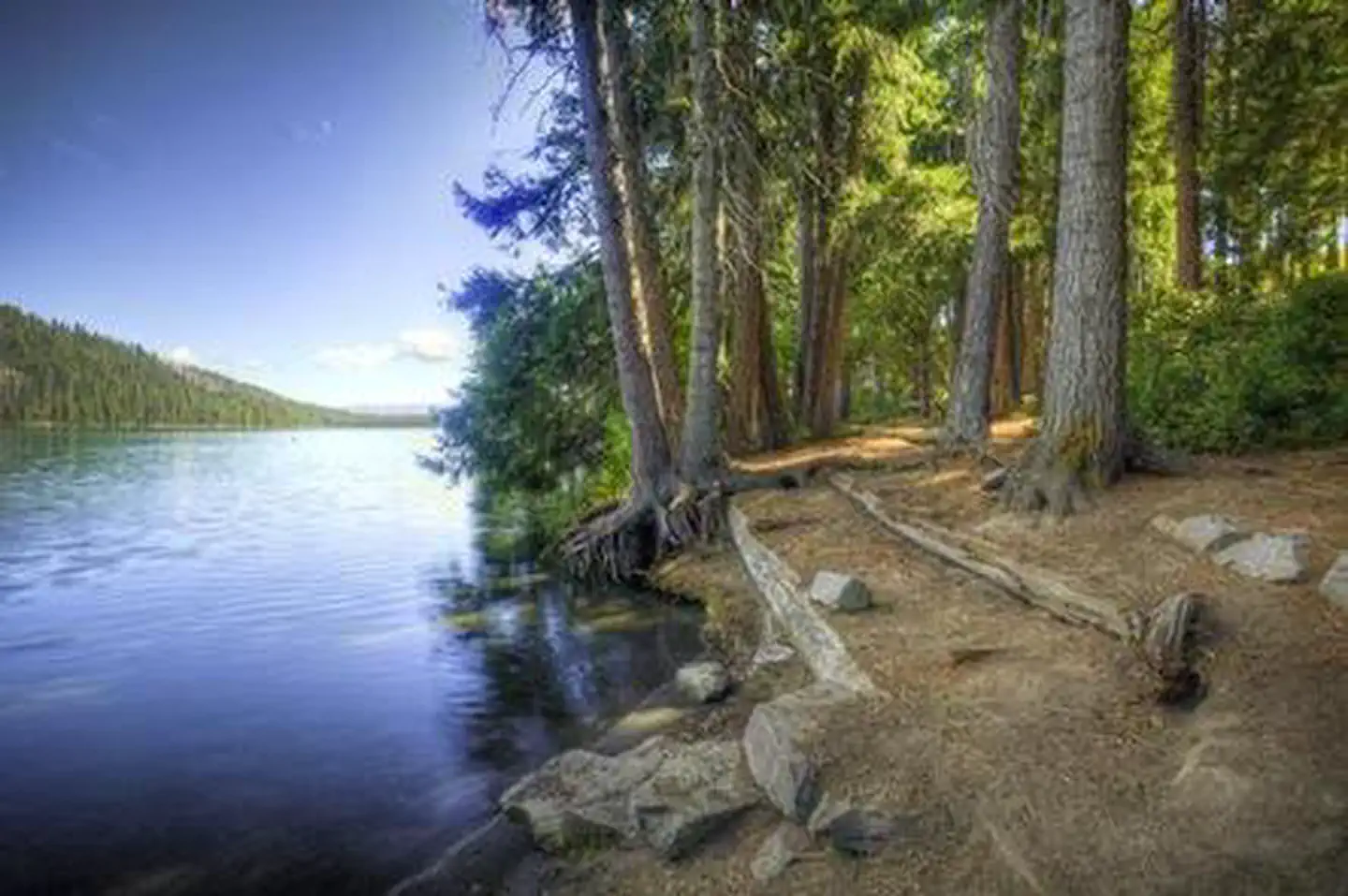 LINK CREEK photo 2