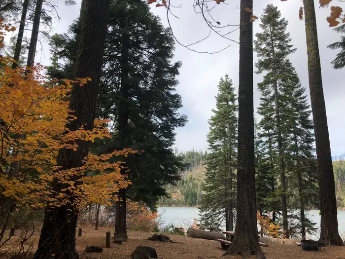 LINK CREEK photo 5