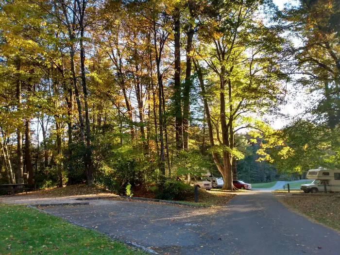 Linville Falls Campground photo