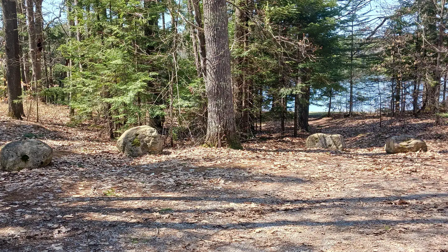 Little Bass Lake Campsites photo