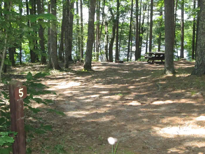 Little Bass Lake Campsites photo 2