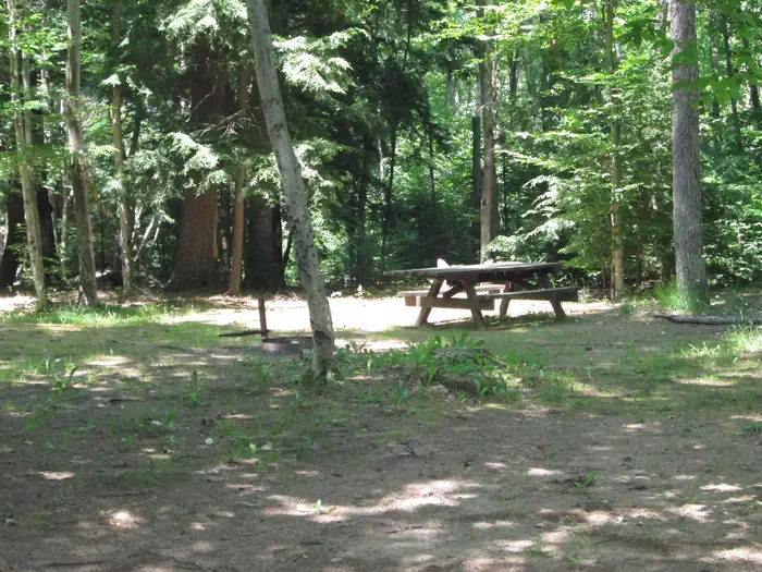 Little Bass Lake Campsites photo 3