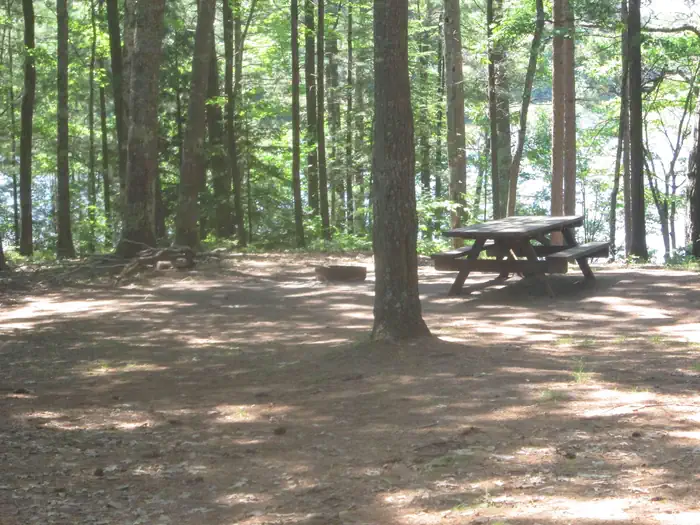 Little Bass Lake Campsites photo 5