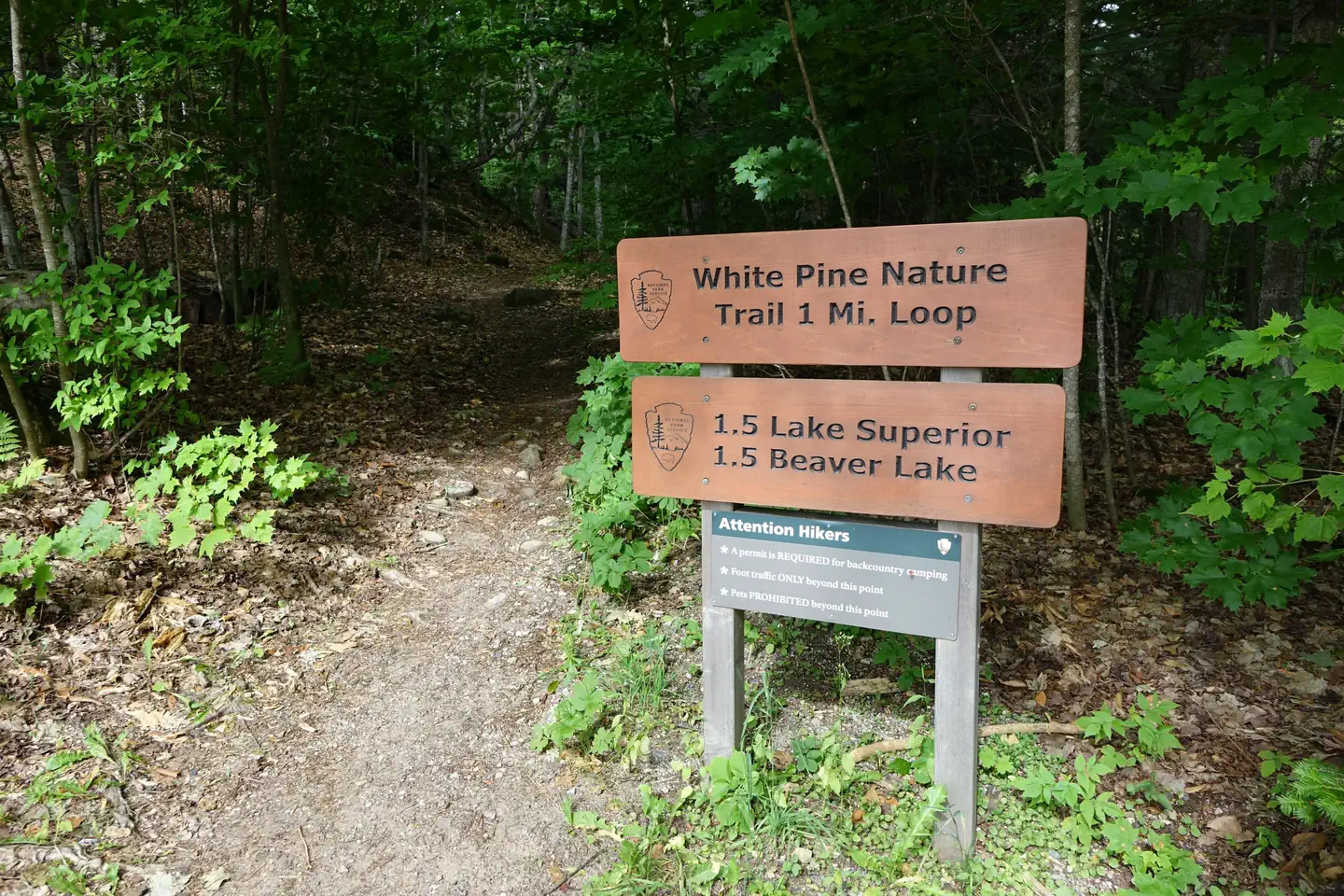 Little Beaver Campground photo 3