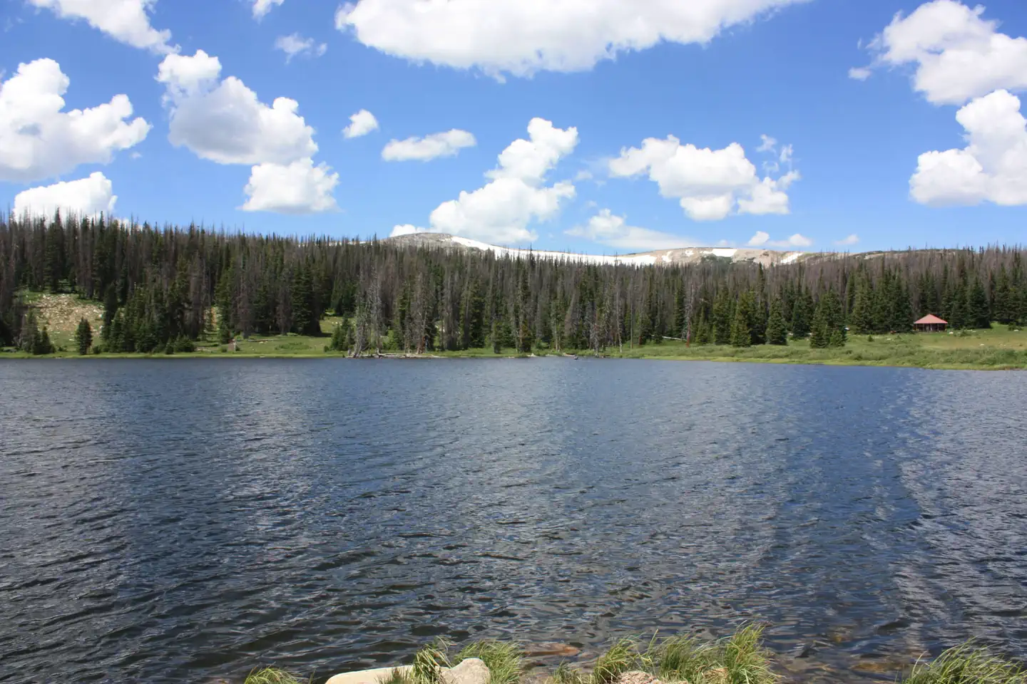 LITTLE BROOKLYN LAKE GUARD photo 5
