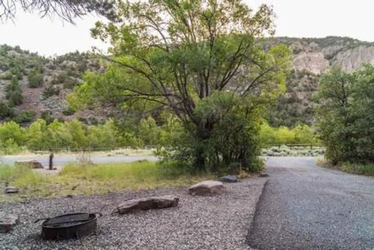 LITTLE COTTONWOOD CAMPGROUND photo