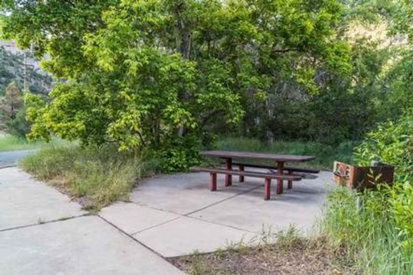 LITTLE COTTONWOOD CAMPGROUND photo 3