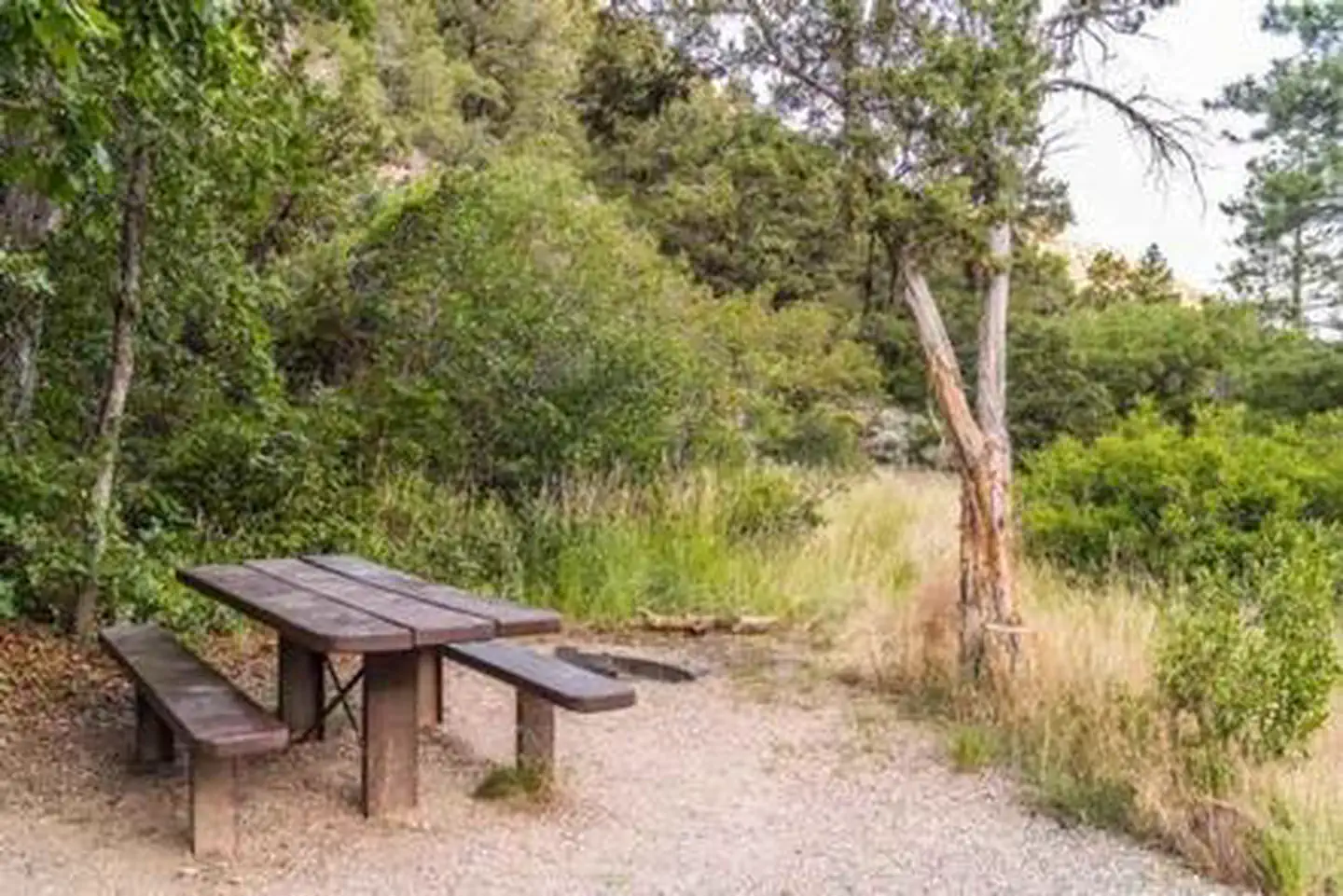LITTLE COTTONWOOD CAMPGROUND photo 4