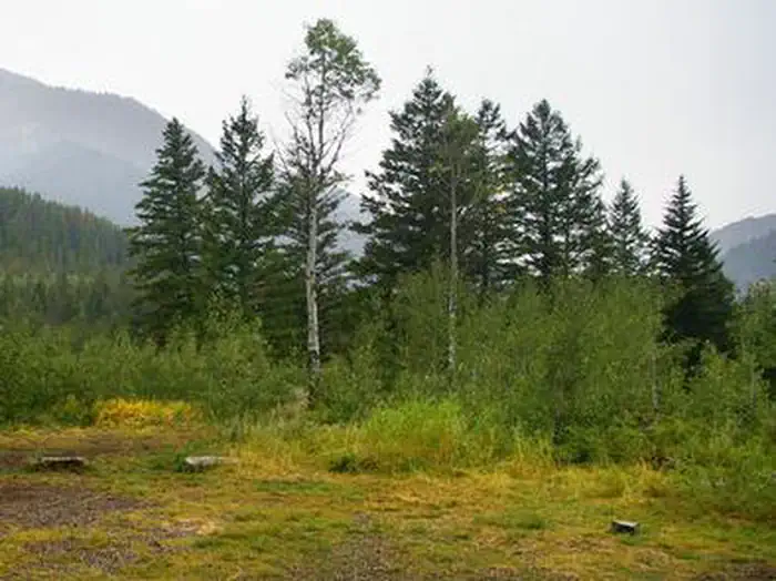 LITTLE COTTONWOOD GROUP photo