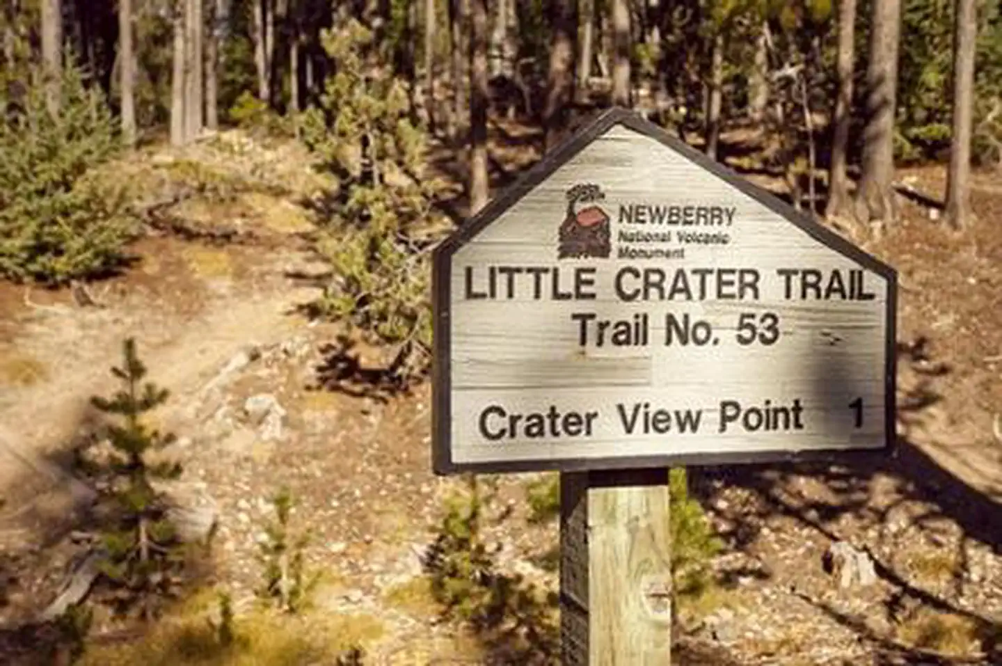 LITTLE CRATER CAMPGROUND photo 2