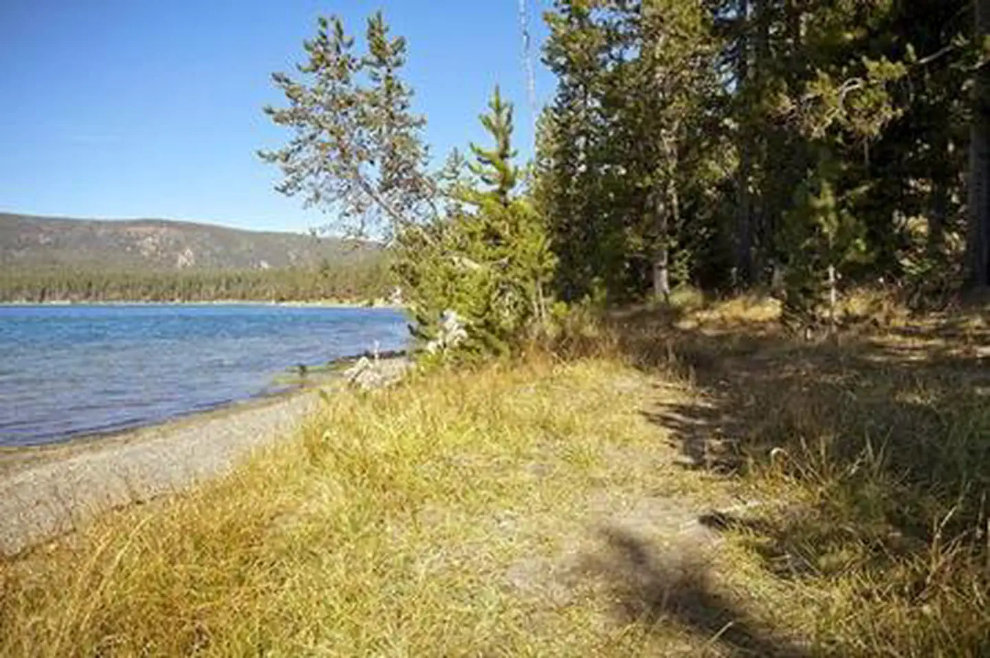 LITTLE CRATER CAMPGROUND photo 5