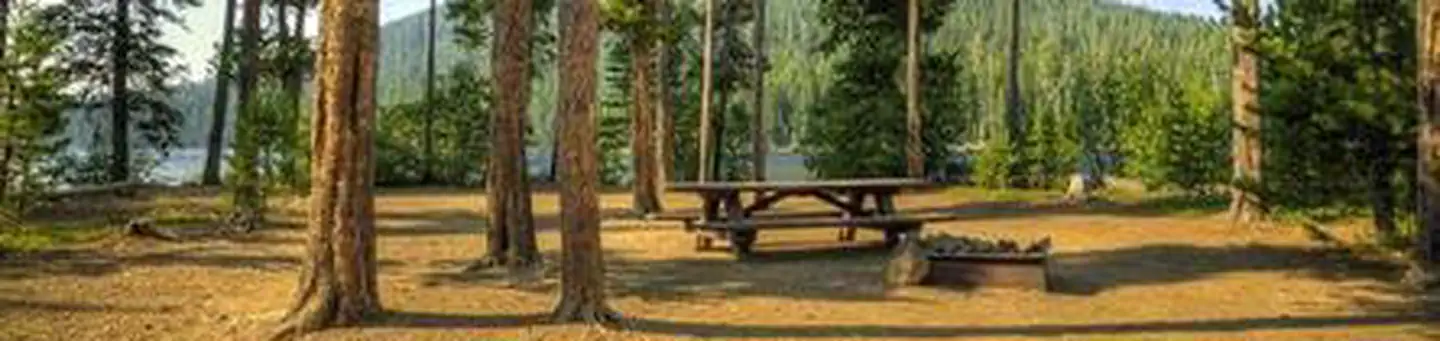 LITTLE CULTUS CAMPGROUND photo