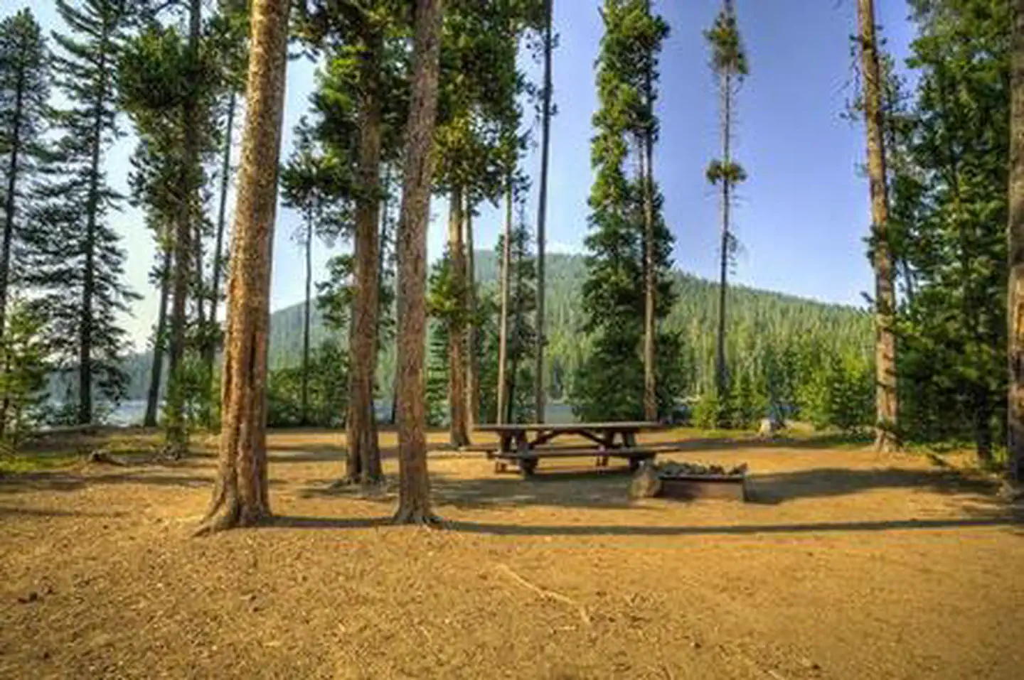 LITTLE CULTUS CAMPGROUND photo 4