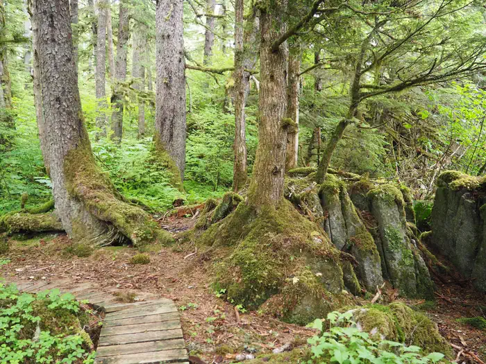 LITTLE DRY ISLAND CABIN photo 3