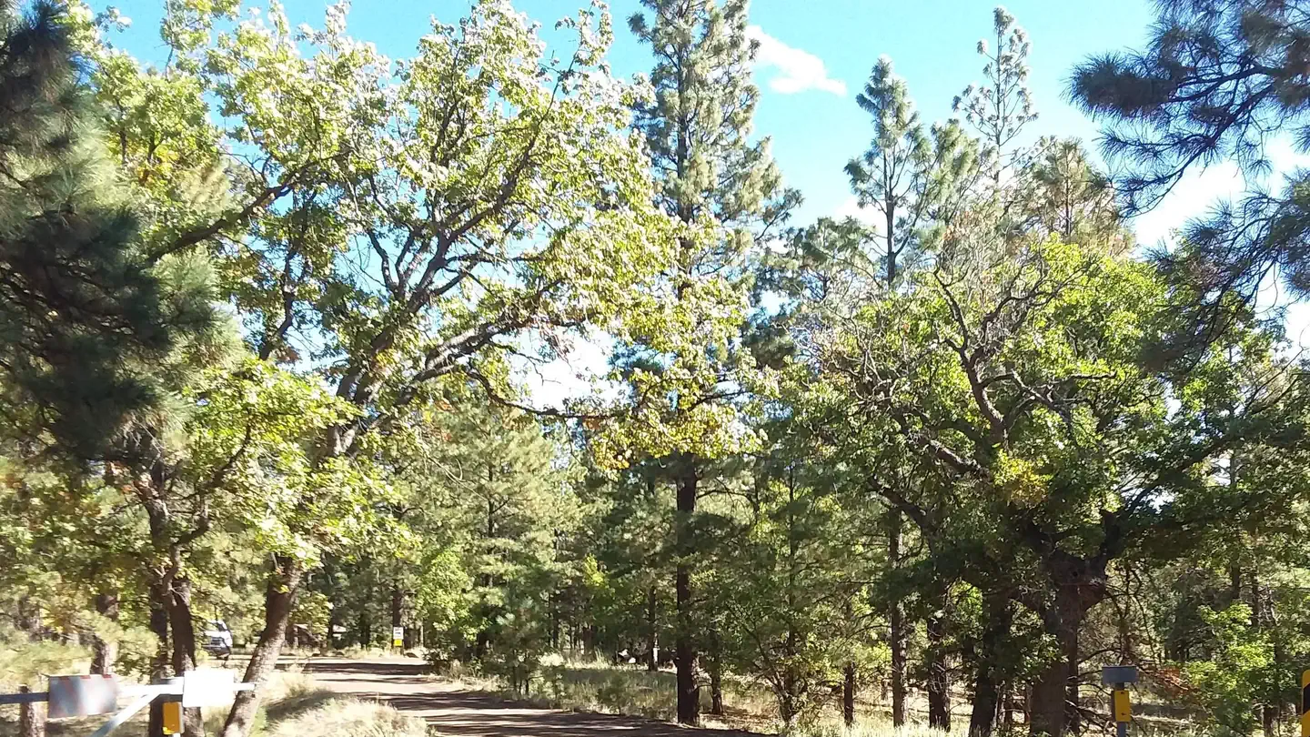 LITTLE ELDEN SPRINGS HORSECAMP photo