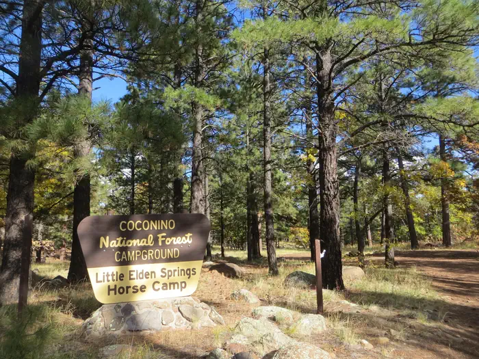 LITTLE ELDEN SPRINGS HORSECAMP photo 2