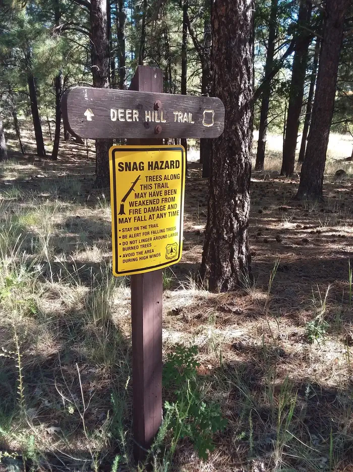 LITTLE ELDEN SPRINGS HORSECAMP photo 3