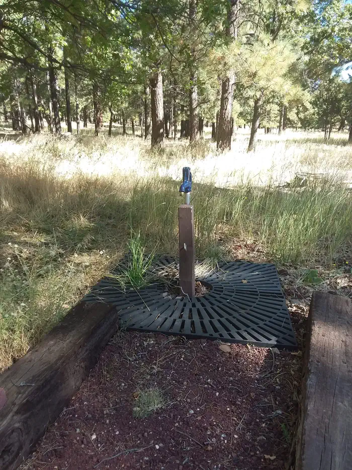 LITTLE ELDEN SPRINGS HORSECAMP photo 4