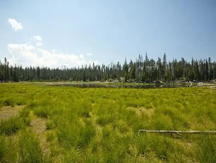 Little Fawn Campground photo 3