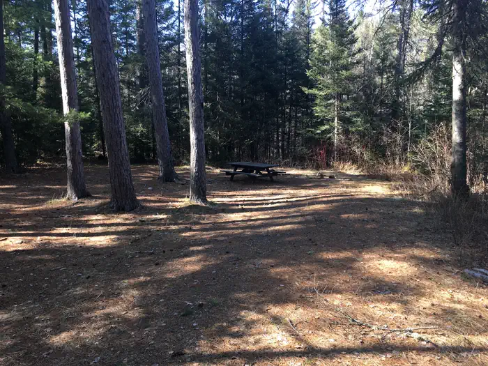 Little Isabella River Campground photo