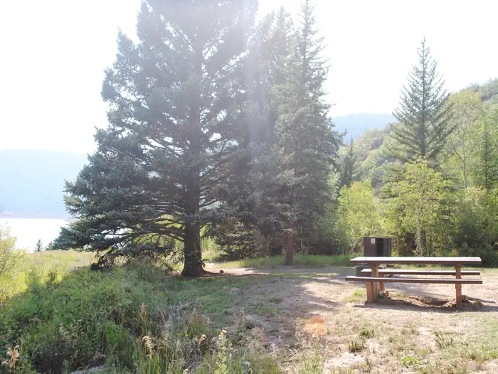 Little Mattie Campground photo 3