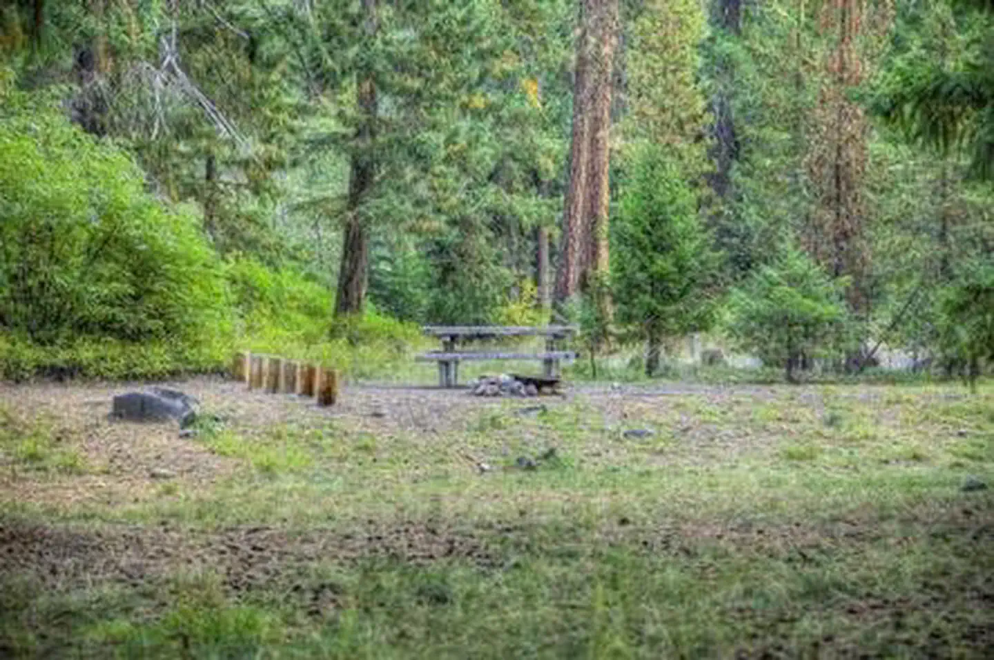 Little Naches Campground photo 2