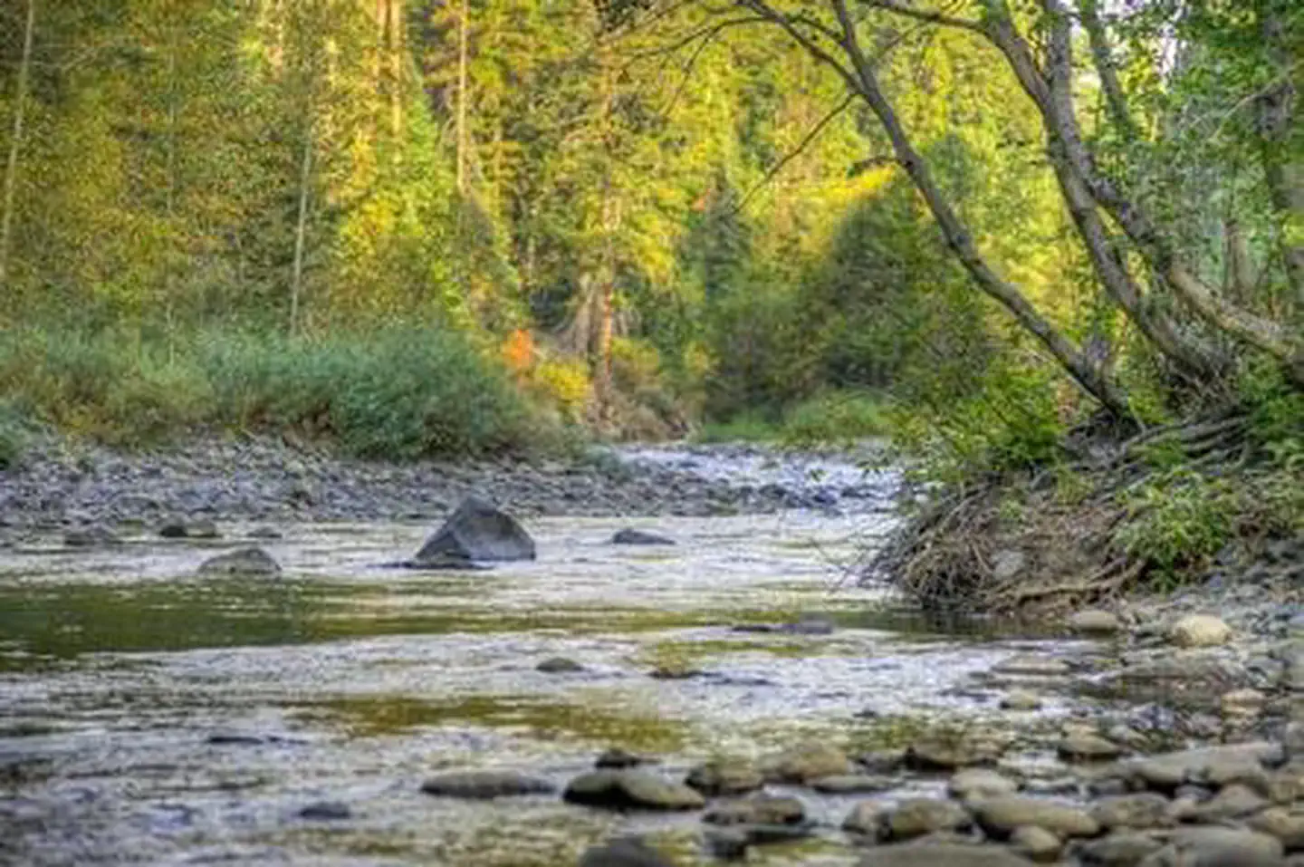 Little Naches Campground photo 4