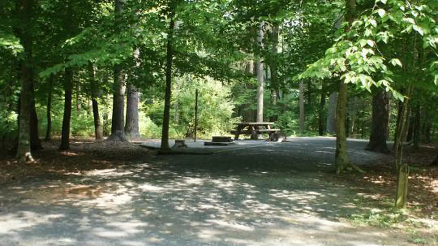 LITTLE OAK CAMPGROUND photo 3