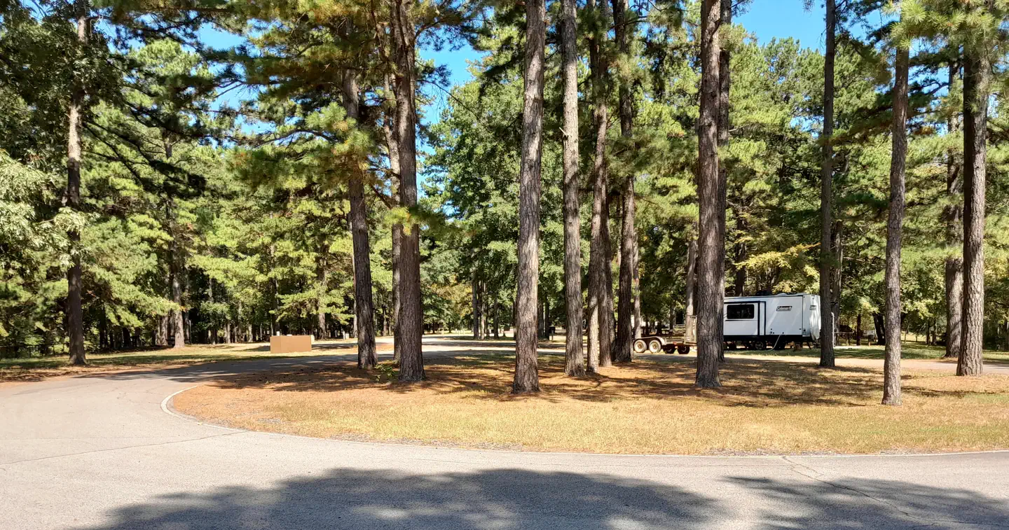 Little Pines Campground photo 2